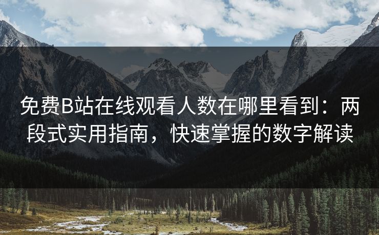 免费B站在线观看人数在哪里看到：两段式实用指南，快速掌握的数字解读