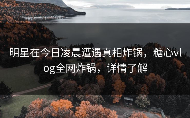 明星在今日凌晨遭遇真相炸锅，糖心vlog全网炸锅，详情了解