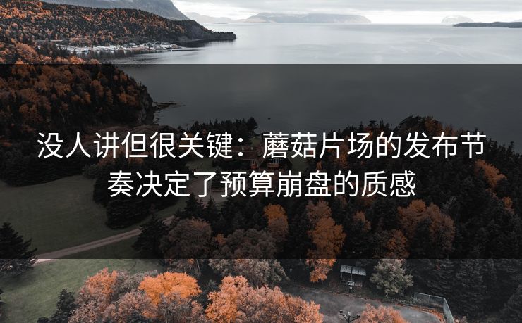 没人讲但很关键：蘑菇片场的发布节奏决定了预算崩盘的质感